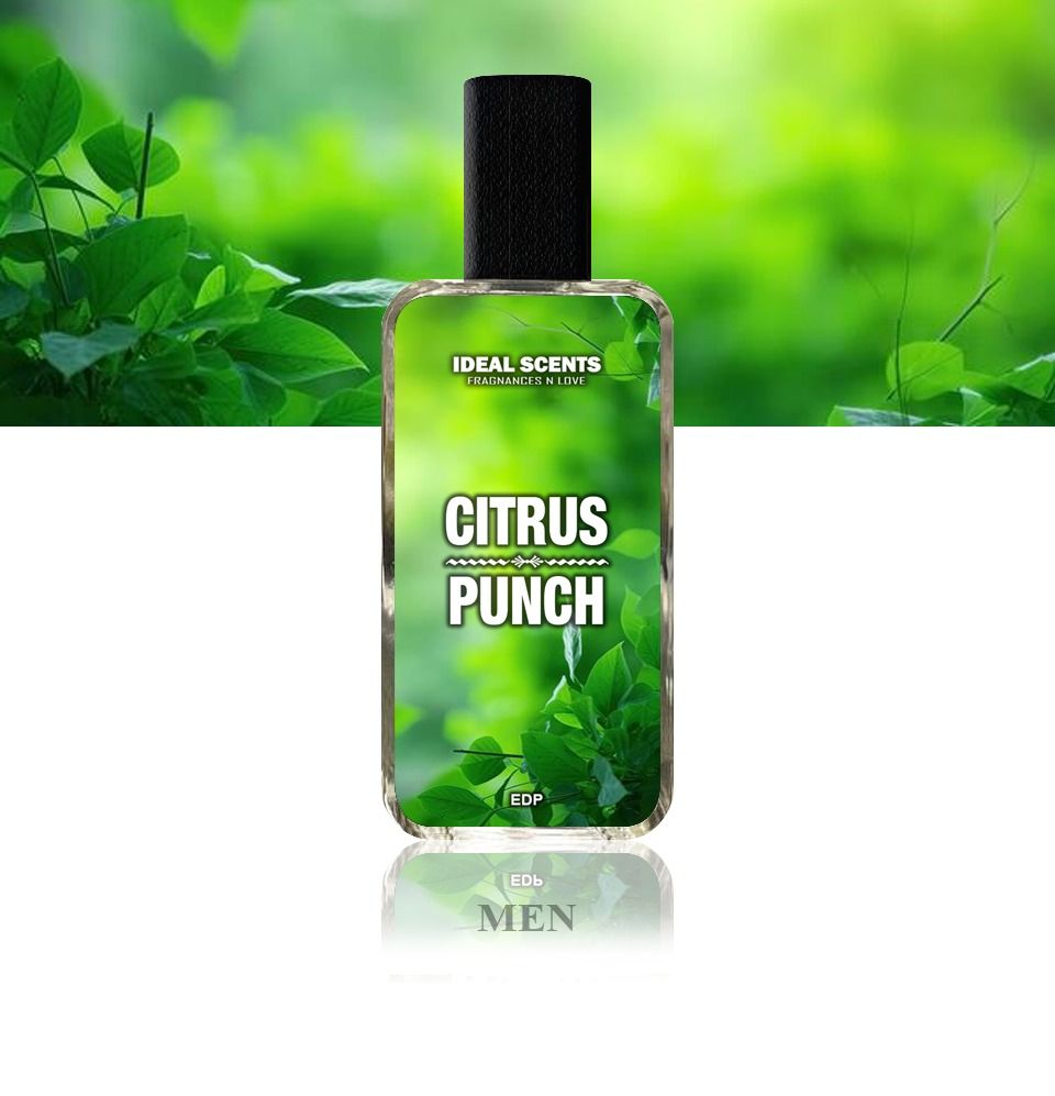 Citrus Punch Fragrance | 50ml | Inspired by Aventus Creed | Long Lasting 8–10 Hours | Made in Pakistan View Gallery - Pakistan