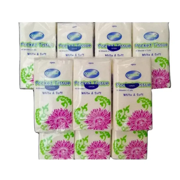 10 Packs Portable Pocket Travel Tissues – Soft & Skin-Friendly for Daily Use View Gallery - Pakistan