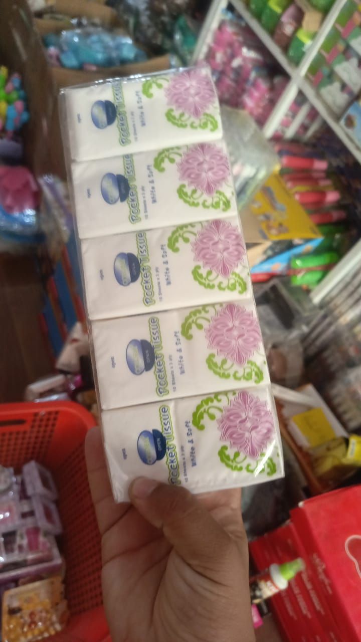 10 Packs Portable Pocket Travel Tissues – Soft & Skin-Friendly for Daily Use View Gallery - Pakistan