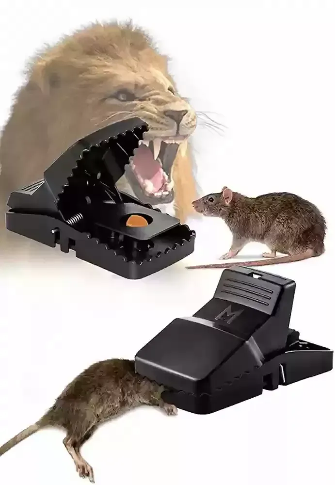 Durable Mouse Trap Pack Of 3 – Reusable Rodent Catcher For Home, Kitchen, And Office Use With Strong Spring Mechanism And Easy Setup View Gallery - Pakistan