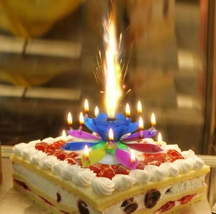 Melody Birthday Candle – Musical Flower Candle With Rotating Petals, Colorful Flames, And Happy Birthday Tune For Party Celebrations (Random Color) View Gallery - Pakistan