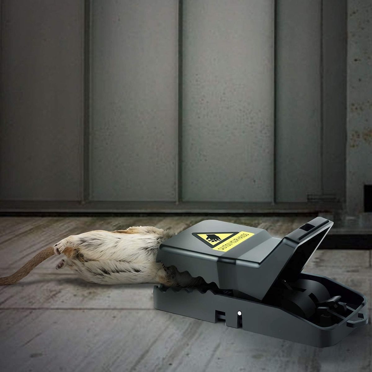 Heavy Duty Reusable Plastic Mouse Trap – Durable & Safe Mouse Catcher for Effective Rodent Control View Gallery - Pakistan