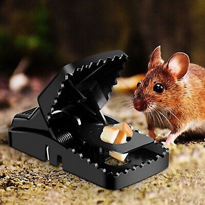 Heavy Duty Reusable Plastic Mouse Trap – Durable & Safe Mouse Catcher for Effective Rodent Control View Gallery - Pakistan