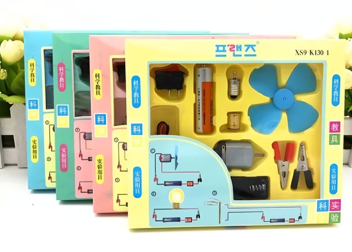 Bulb and Fan Electric Science Experiment Kit for Kids and Adults – DIY STEM Educational Toy for Physics Projects, Model Building, and Circuit Learning – Hands-On School Science Experiment Kit with Motor, Fan, Bulb, and Accessories (Random Color)