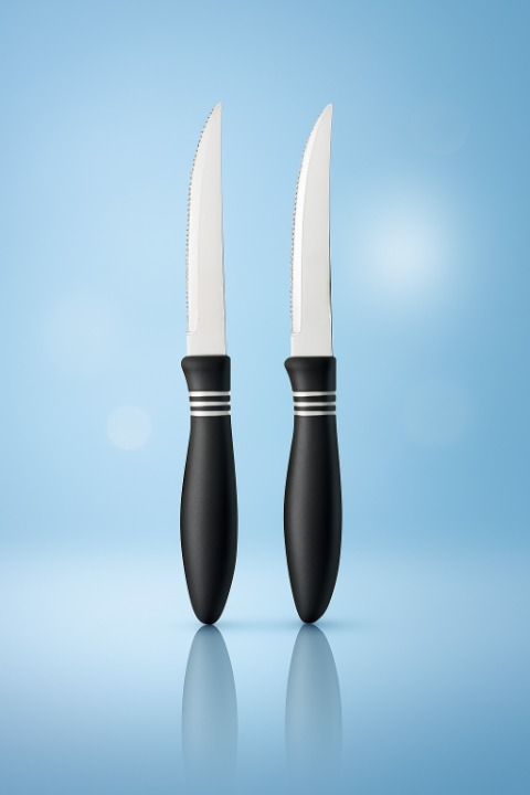 2 Pcs Concord Stainless Steel Kitchen Knife – Multipurpose Table Knife with Serrated Edge, 12 cm (Random color) View Gallery - Pakistan
