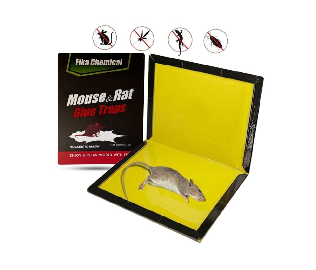 Mouse Glue Trap – Strong Adhesive Rat Glue Board &amp; Rodent Catcher Mat ( Pack of 5 ) View Gallery - Pakistan
