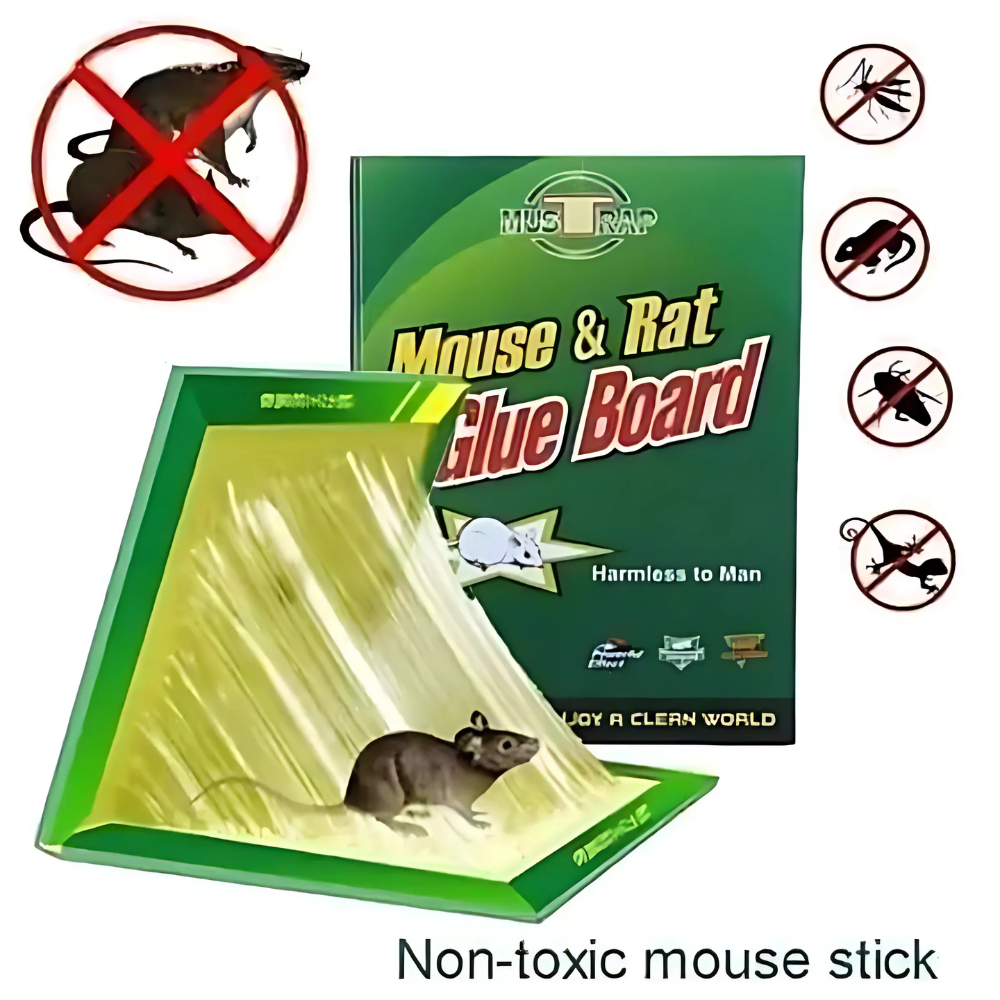 Mouse Glue Trap – Strong Adhesive Rat Glue Board &amp; Rodent Catcher Mat ( Pack of 5 ) View Gallery - Pakistan