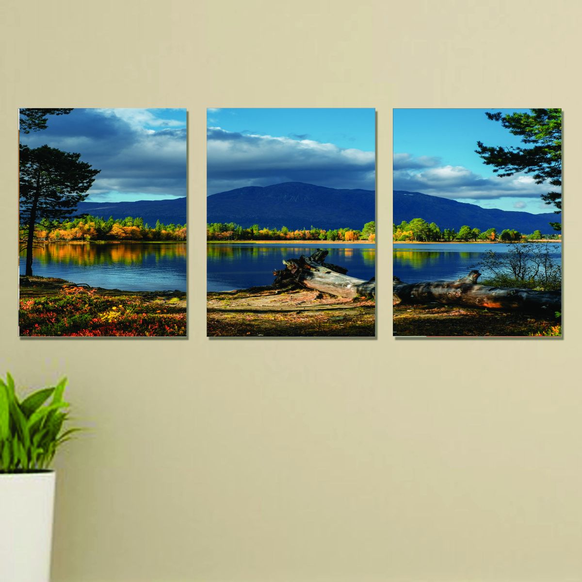 Set of 3 nature wall art phototile frame View Gallery - Pakistan