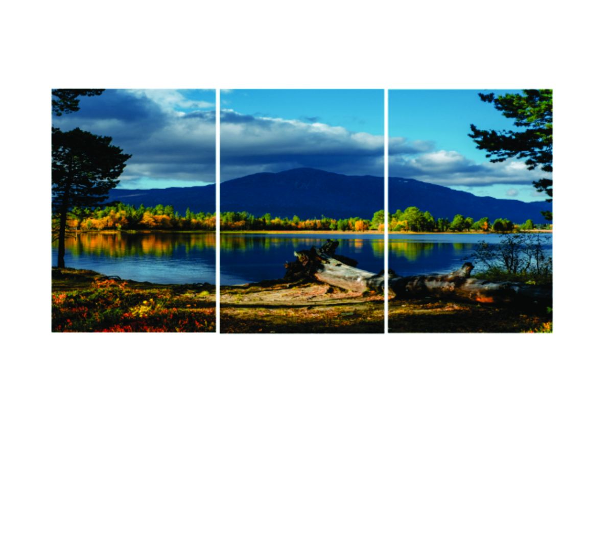Set of 3 nature wall art phototile frame View Gallery - Pakistan