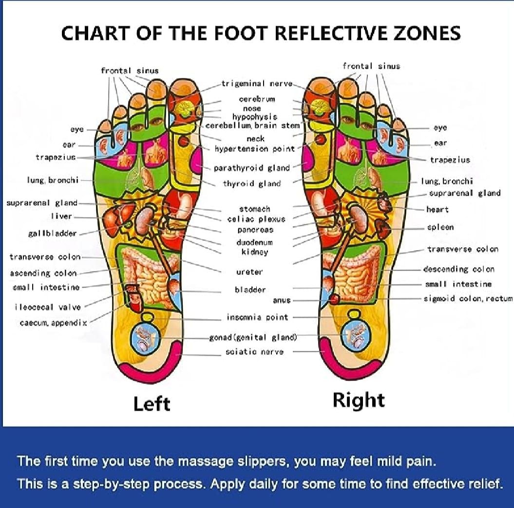 Blueidea Acupressure Massage Slippers for Sugar Patients – Foot Therapy Reflexology Sandals with Acupuncture Points &amp; Non-Slip Sole View Gallery - Pakistan