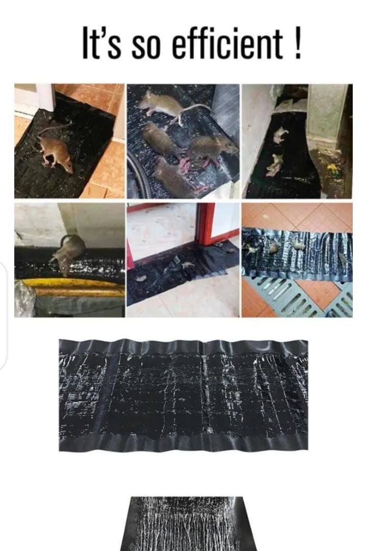 Effective Rat and Mouse Glue Mat Trap - 120x28cm Sticky Rodent Catcher Sheet for Pest Control | Mouse Trap Carpet View Gallery - Pakistan