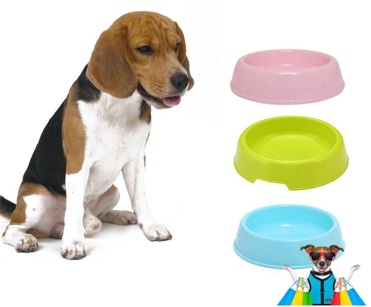 round  Shaped food bowl Pet Plastic food bowl (Random Color)  8 inch View Gallery - Pakistan