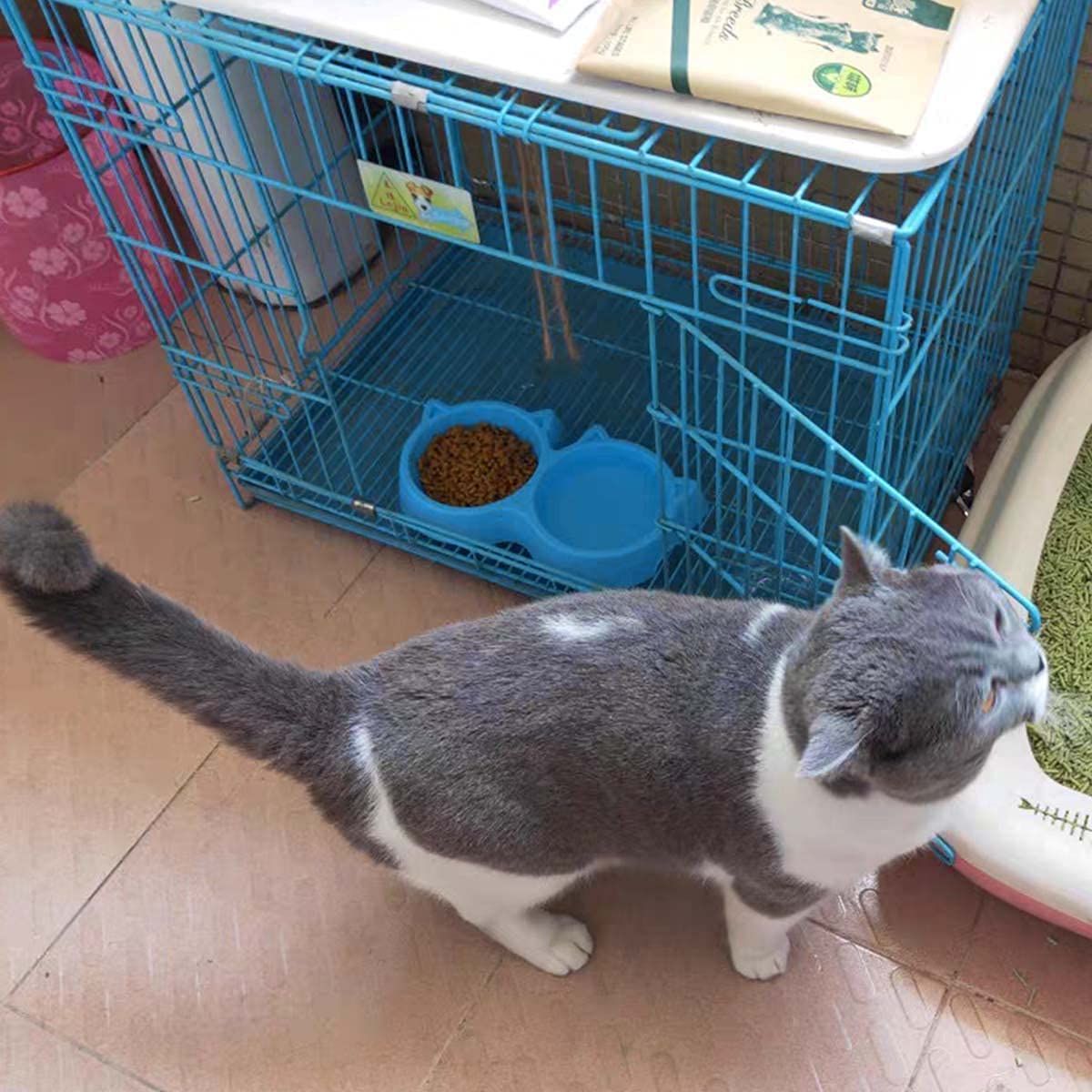 Cat Shaped Double food bowl Pet Plastic food bowl (Random Color) View Gallery - Pakistan