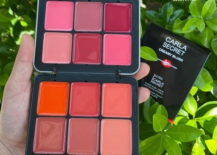 12 in 1 creamy blush lipstick palette View Gallery - Pakistan
