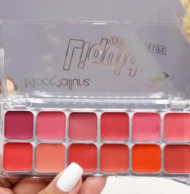 Mocallure Lipstick and Blush palette View Gallery - Pakistan