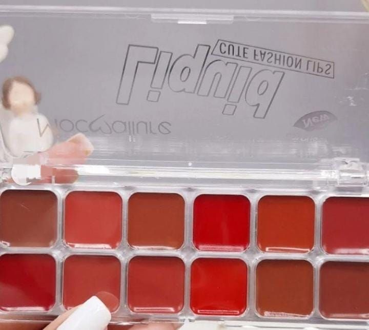 Mocallure Lipstick and Blush palette View Gallery - Pakistan