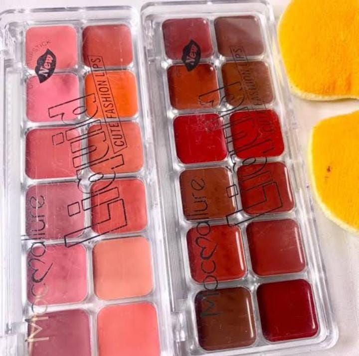 Mocallure Lipstick and Blush palette View Gallery - Pakistan