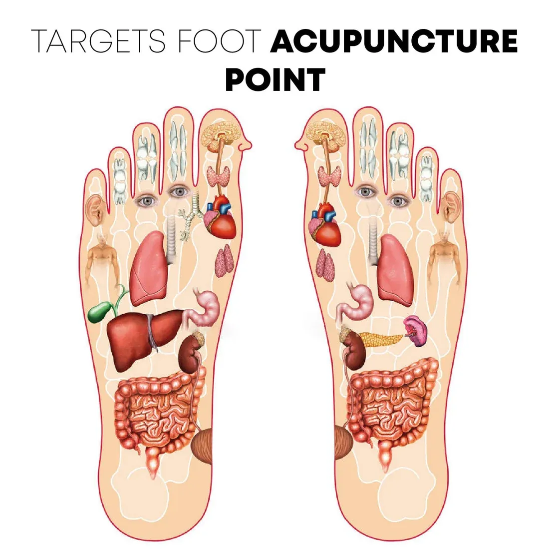 Electric EMS Foot Massager Pad Foldable Foot Massage Mat Feet Muscle Stimulator Improve Blood Circulation Relieve Pain Health View Gallery - Pakistan