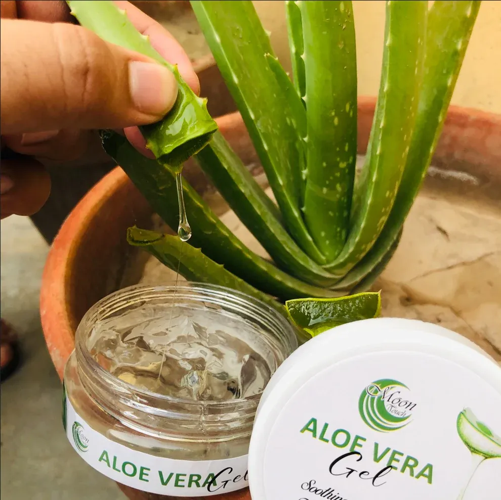Aloe Vera Gel (100g) View Gallery - Pakistan