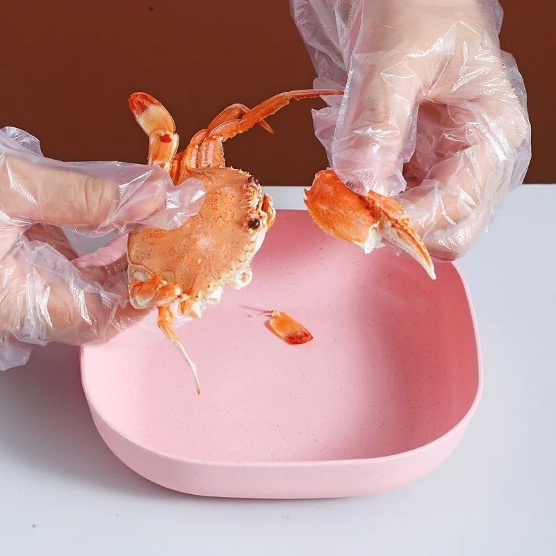 10Pcs Multi-function Spit Bone Plate Set Household Food Grade Plastic Elliptical Plate Set View Gallery - Pakistan