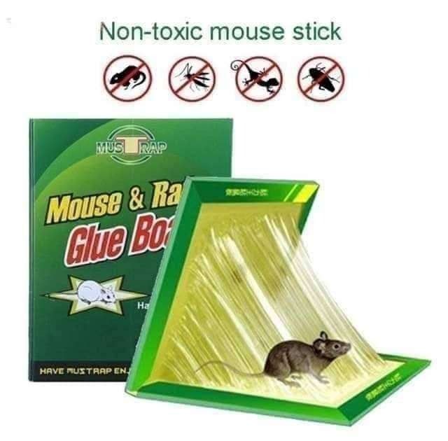 Reusable Expert Catch Mouse &amp; Rat Glue Catch Trap View Gallery - Pakistan