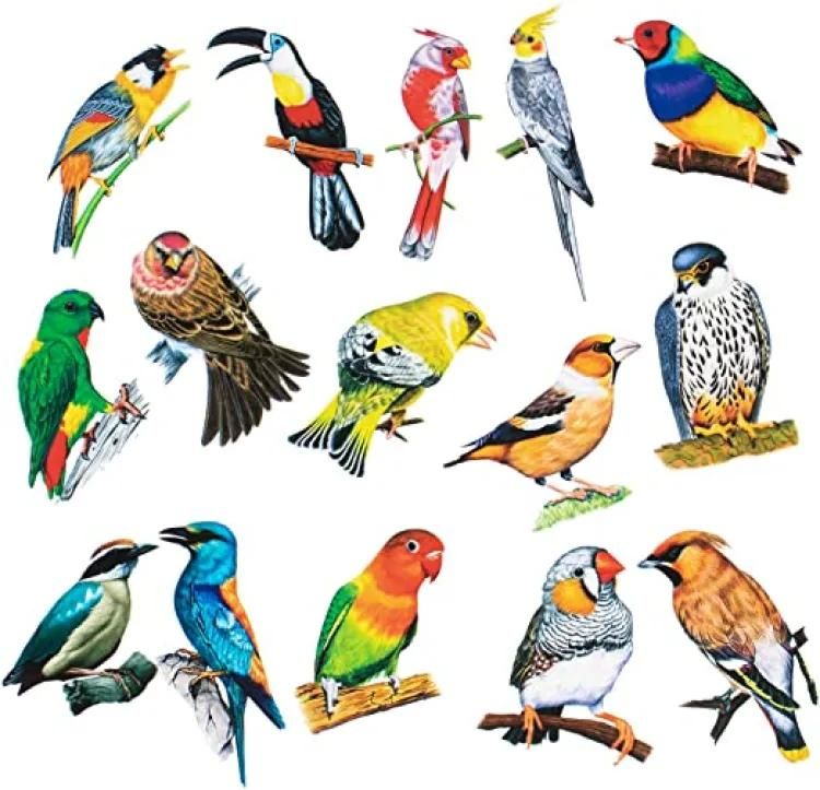 3D Art Crafts BiRdsWall Stickers  (pack of 8 pcs ) View Gallery - Pakistan