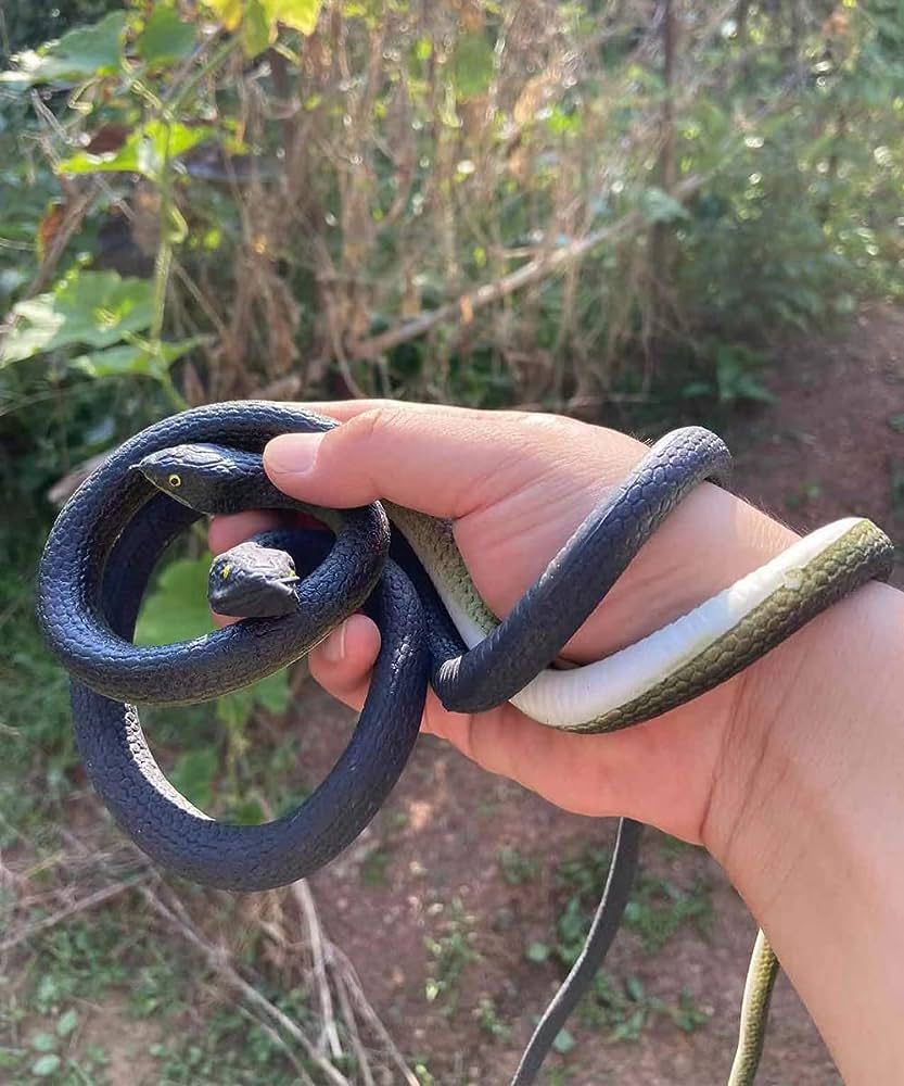 Realistic Rubber Snakes Long Fake Snake,Pranks Toy Snakes View Gallery - Pakistan