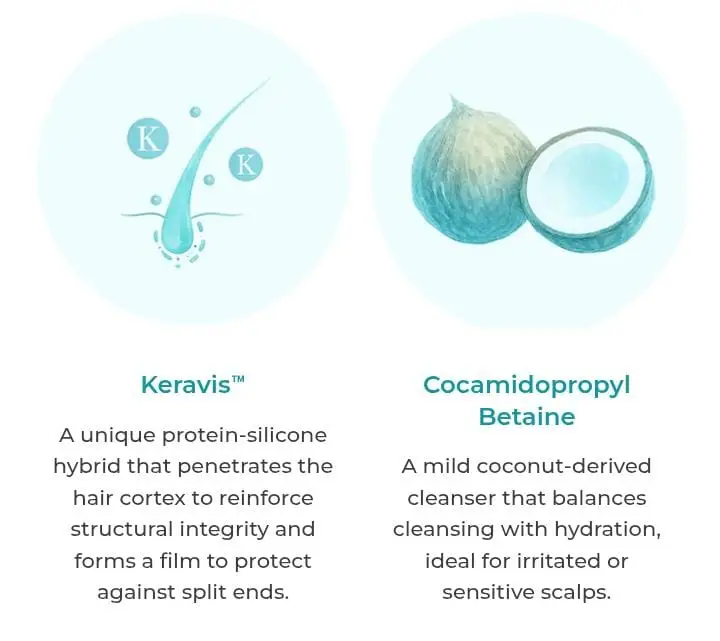 Cellcense Max Hiar (Anti-Danduff Shampoo)