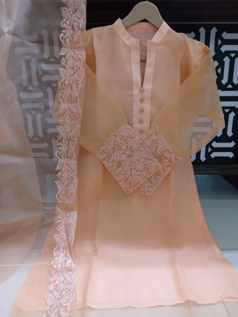 3 Pcs Women's Stitched Organza Embroidered Suit View Gallery - Pakistan